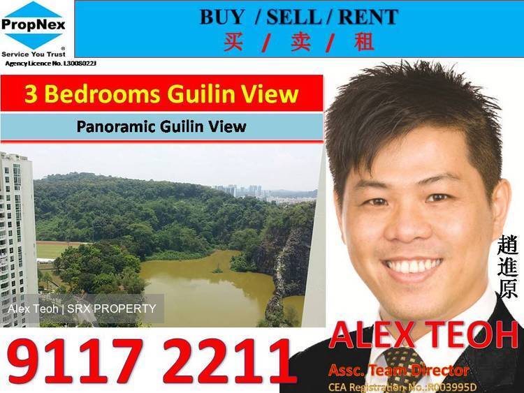 Guilin View (D23), Condominium #174030812